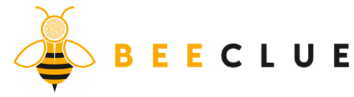 Beeclue Website Development Company Logo